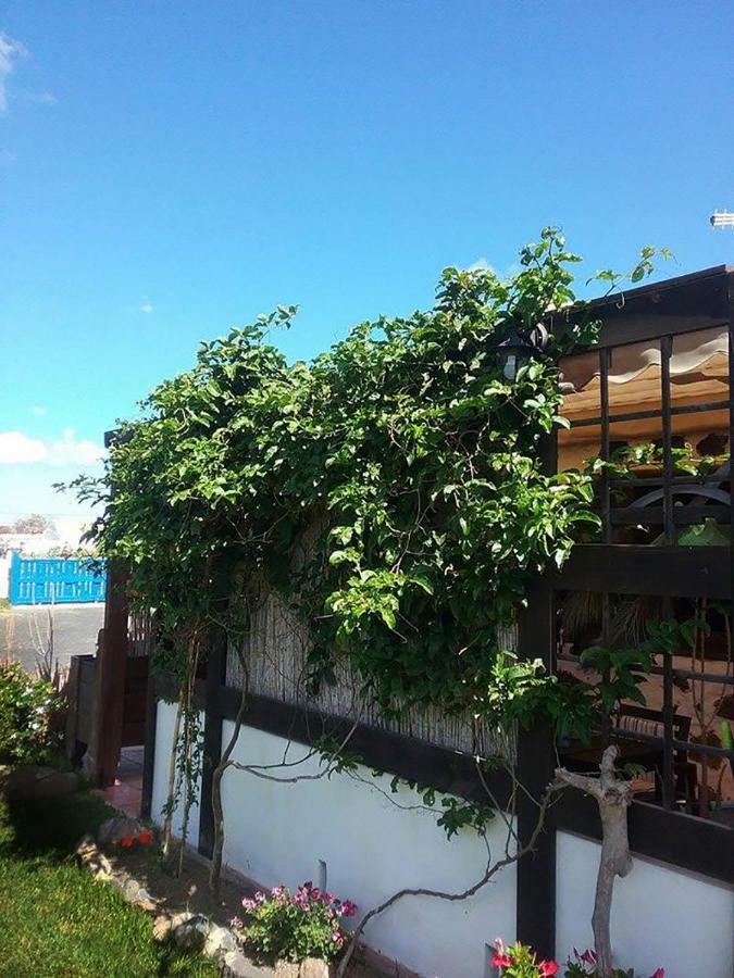 Casa Rural Soleario La Oliva Exterior foto